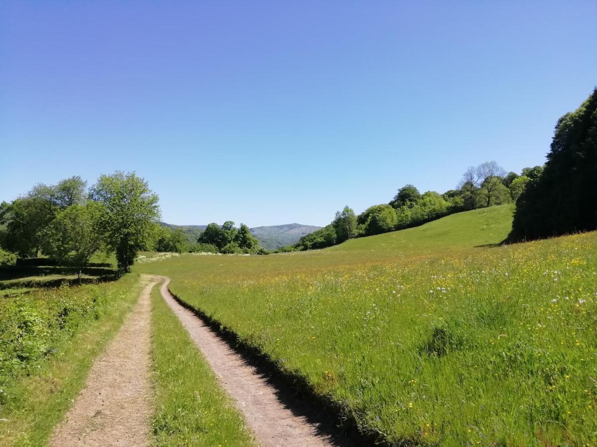 Maison A La Campagne Au Coeur Du Cantal Dept 15 Marmanhac ภายนอก รูปภาพ
